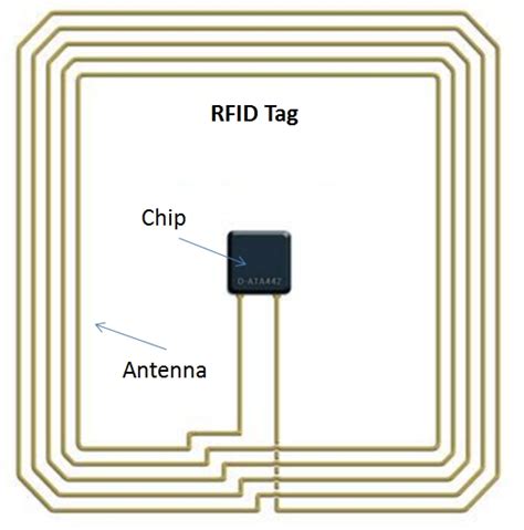 rfid chip location